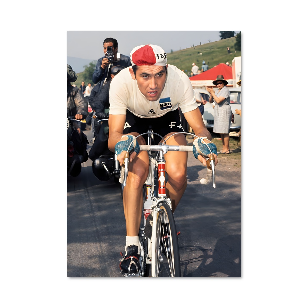 Poster Eddy de merckx
